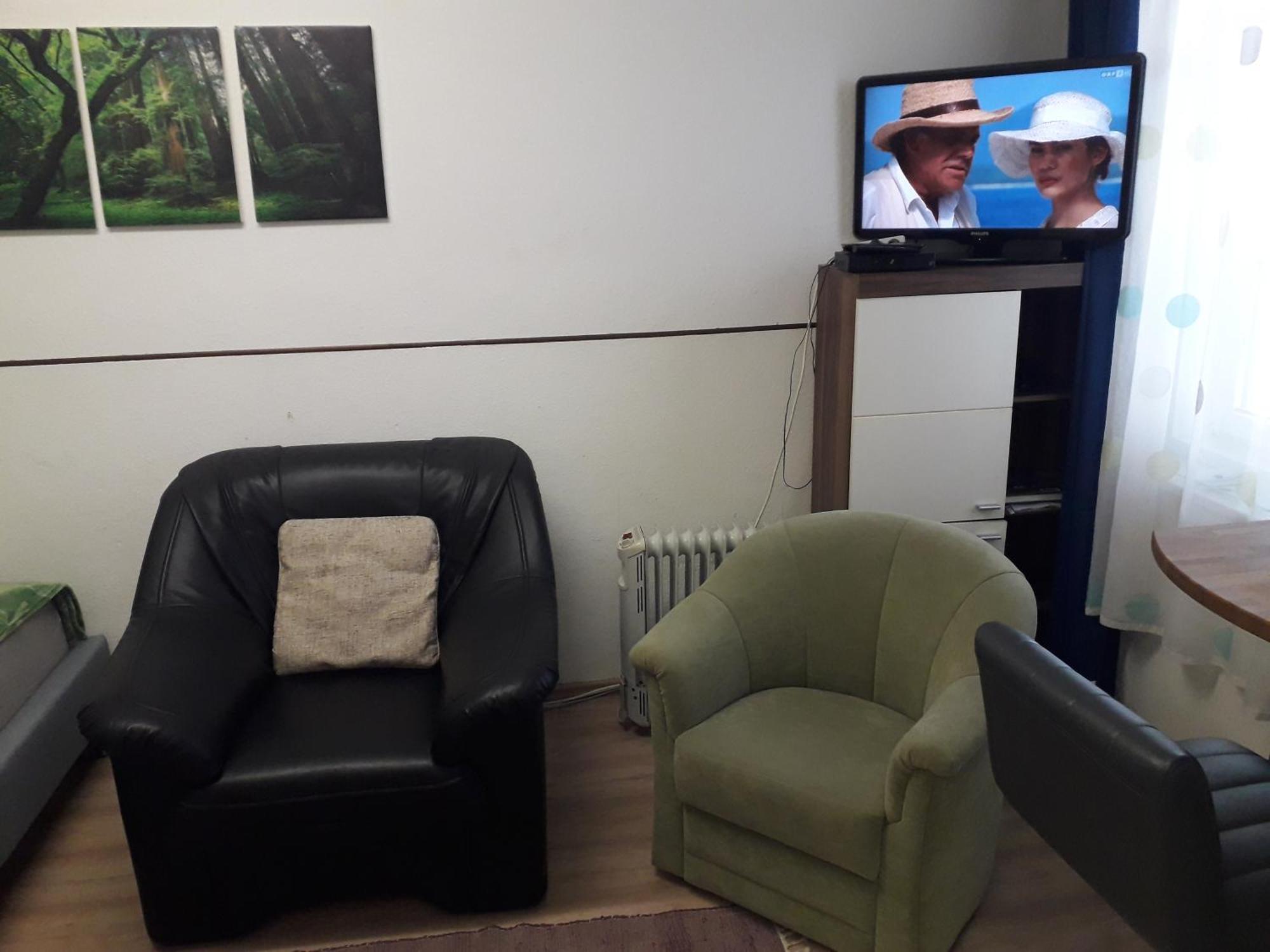 Apartment Ap 1 Im Zentrum Steyr, Bestrooms Eu ภายนอก รูปภาพ