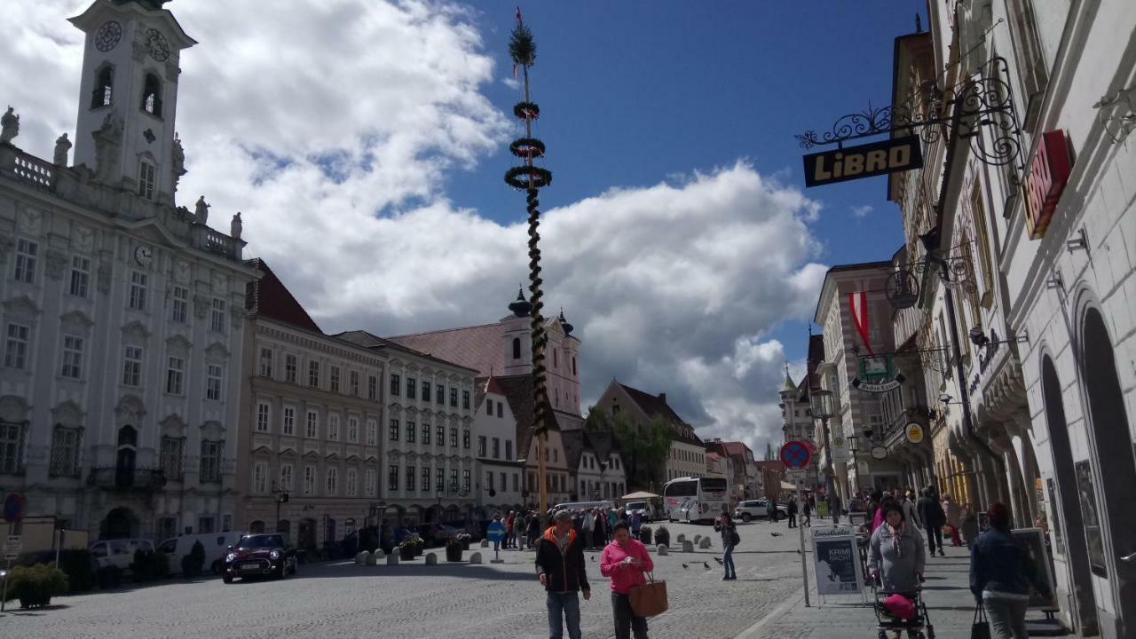 Apartment Ap 1 Im Zentrum Steyr, Bestrooms Eu ภายนอก รูปภาพ